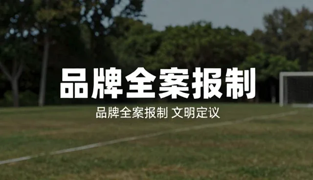 传播效果:如何提升品牌传播的转化率